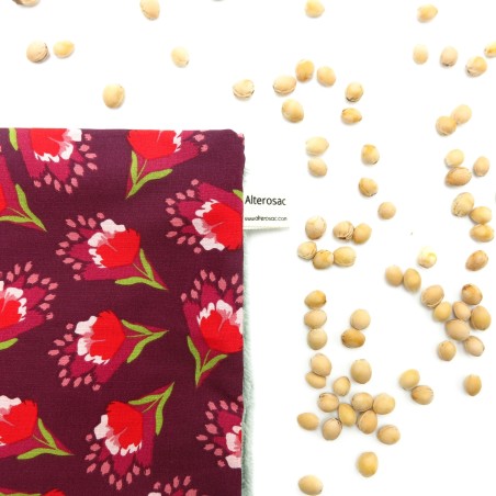 Bouillotte aux noyaux de cerises
